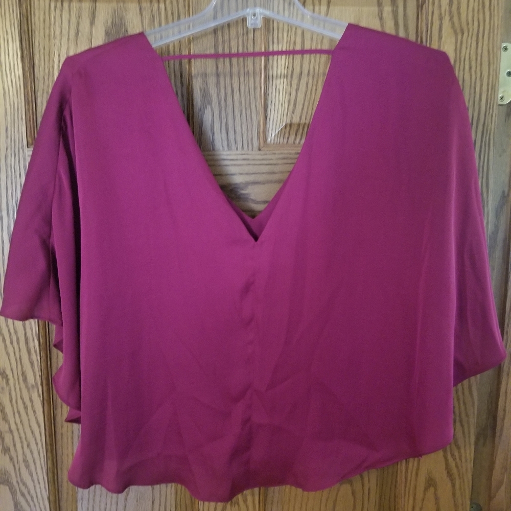 Lovers & Friends Raspberry Top - Picture 5 of 7